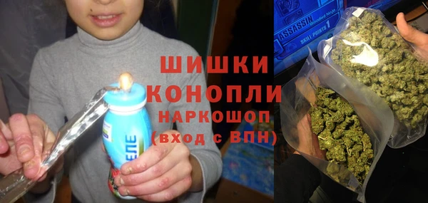 сатива Балабаново
