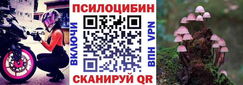 Галлюциногенные грибы прущие грибы  Балахна 